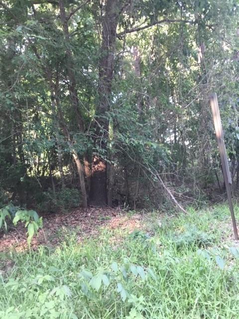 000 Water Tower Road, Onalaska, Texas image 3