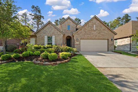 4290 Orchard Pass Drive Spring TX 77386