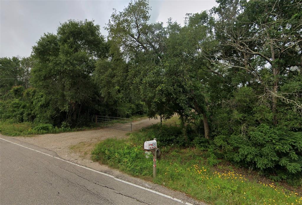 6345 Cr-659, Brazoria, Texas image 1