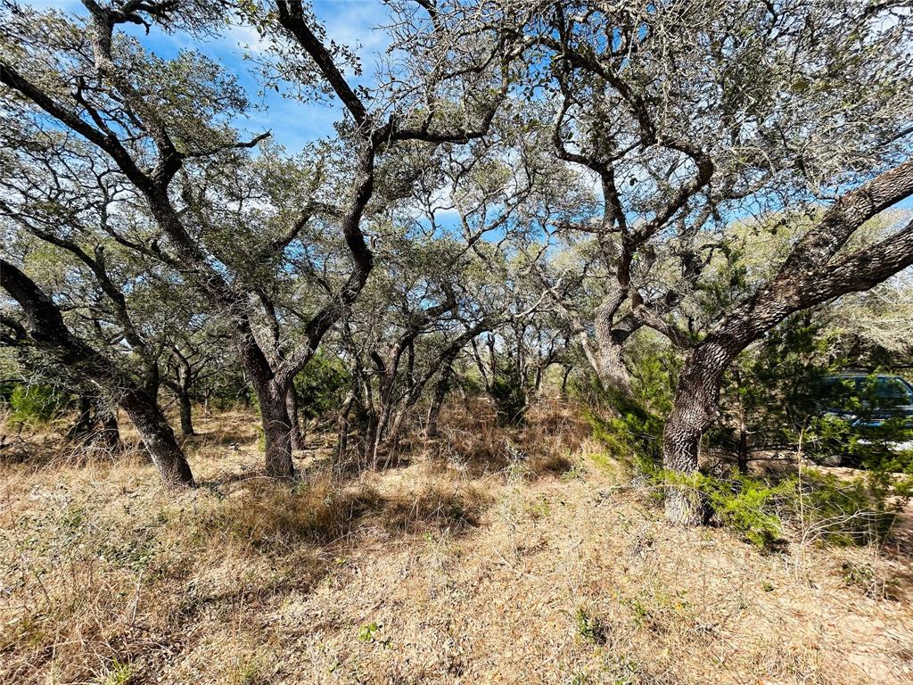 1076 W Branding Iron Rd, Weimar, Texas image 23