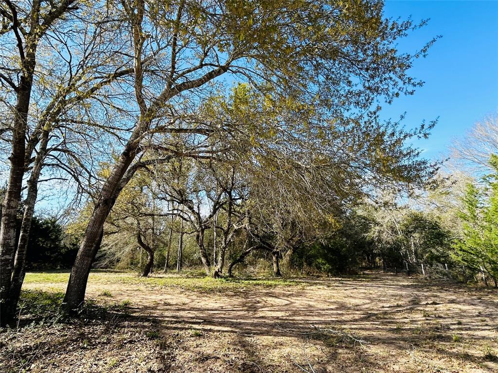 1076 W Branding Iron Rd, Weimar, Texas image 26