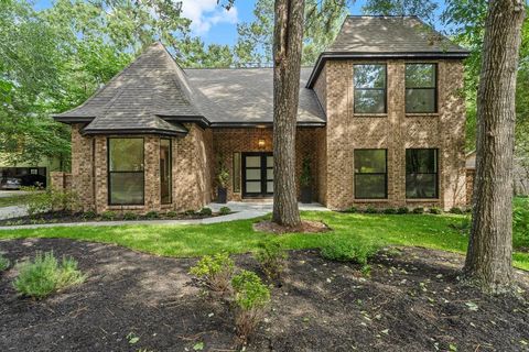 38 Falling Star Court The Woodlands TX 77381