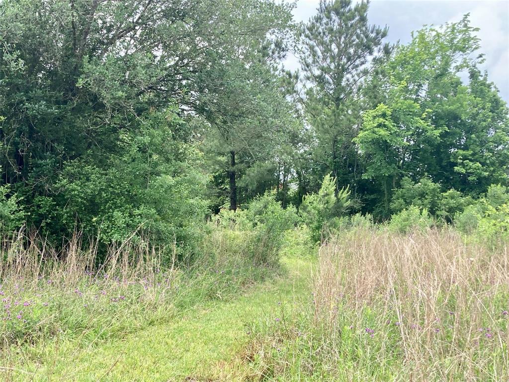 18806 Mckay Road, Alvin, Texas image 31