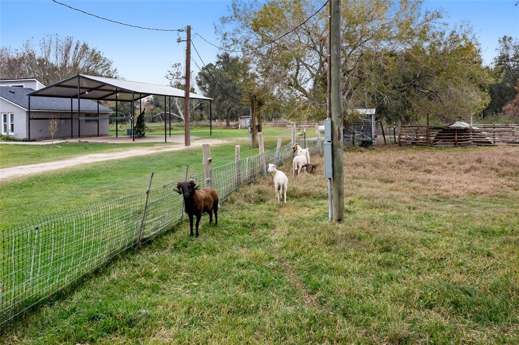 18806 Mckay Road, Alvin, Texas image 23