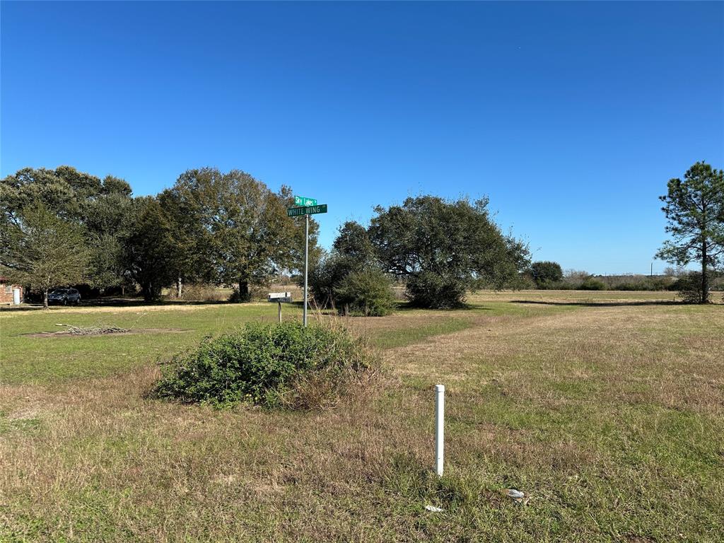 LOT 14 White Wing Drive, Waller, Texas image 2