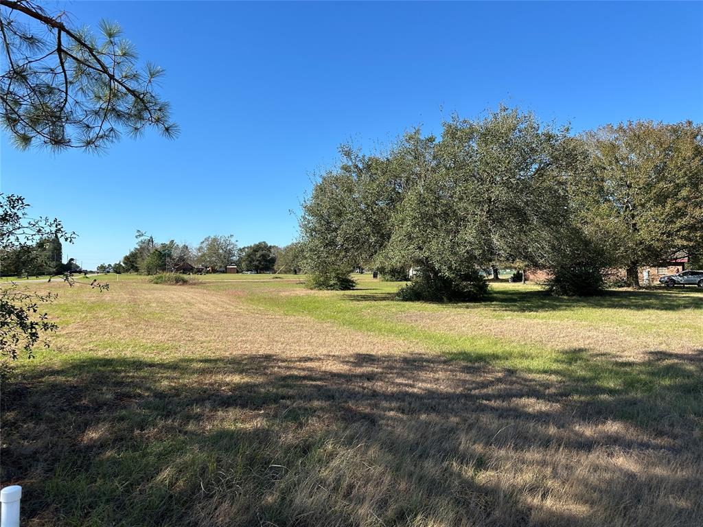 LOT 14 White Wing Drive, Waller, Texas image 5