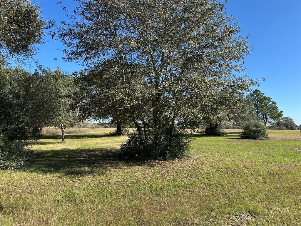 LOT 14 White Wing Drive, Waller, Texas image 1