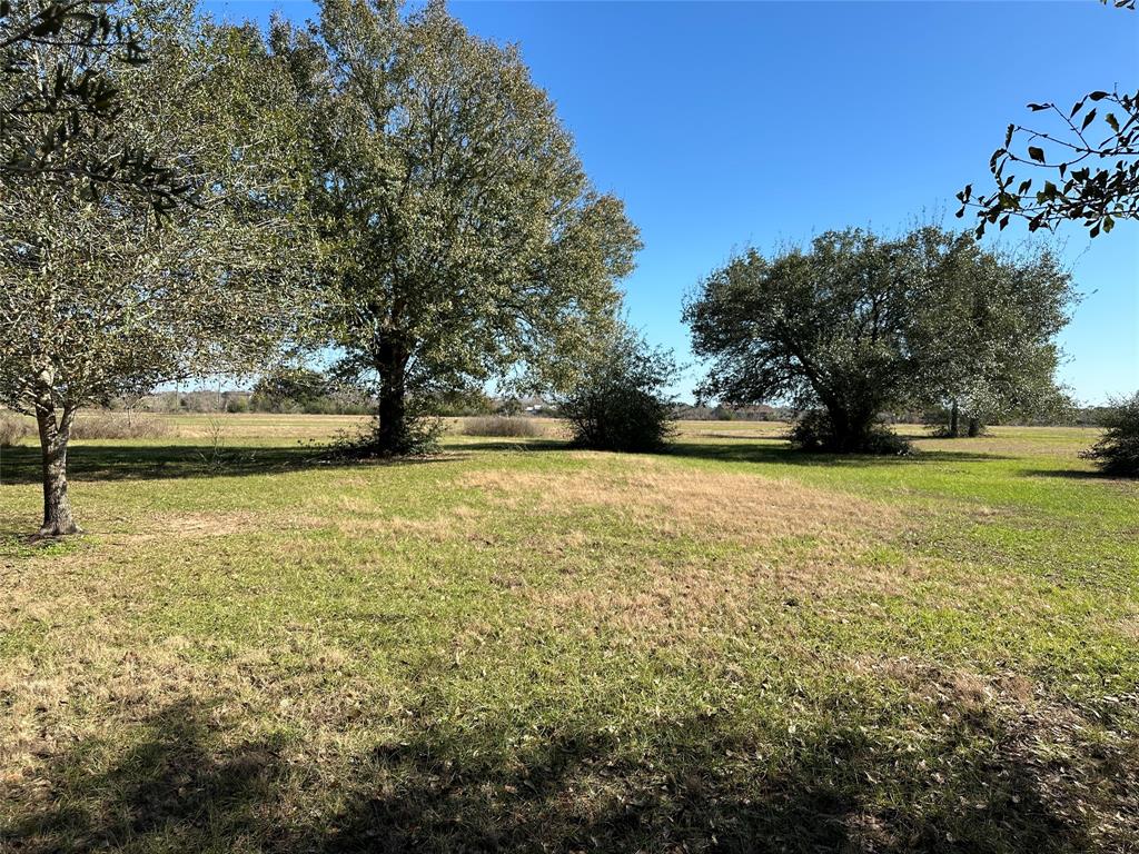 LOT 14 White Wing Drive, Waller, Texas image 9