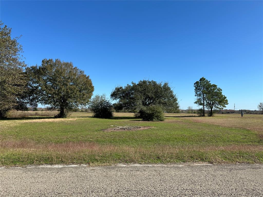 LOT 14 White Wing Drive, Waller, Texas image 3