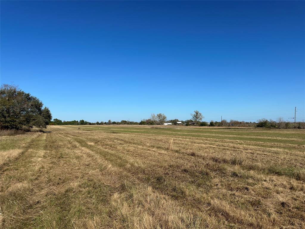 LOT 14 White Wing Drive, Waller, Texas image 6