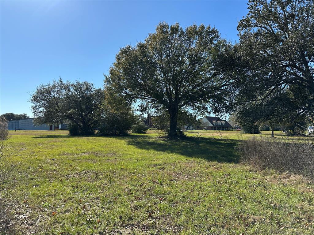 LOT 14 White Wing Drive, Waller, Texas image 4