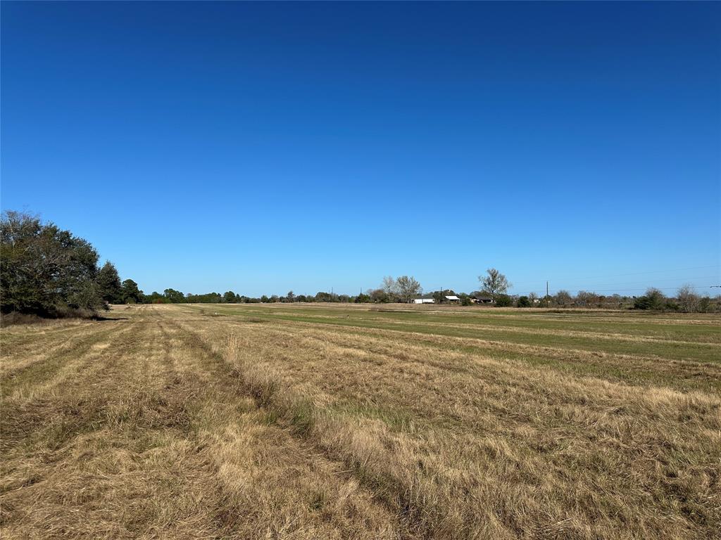 LOT 14 White Wing Drive, Waller, Texas image 11