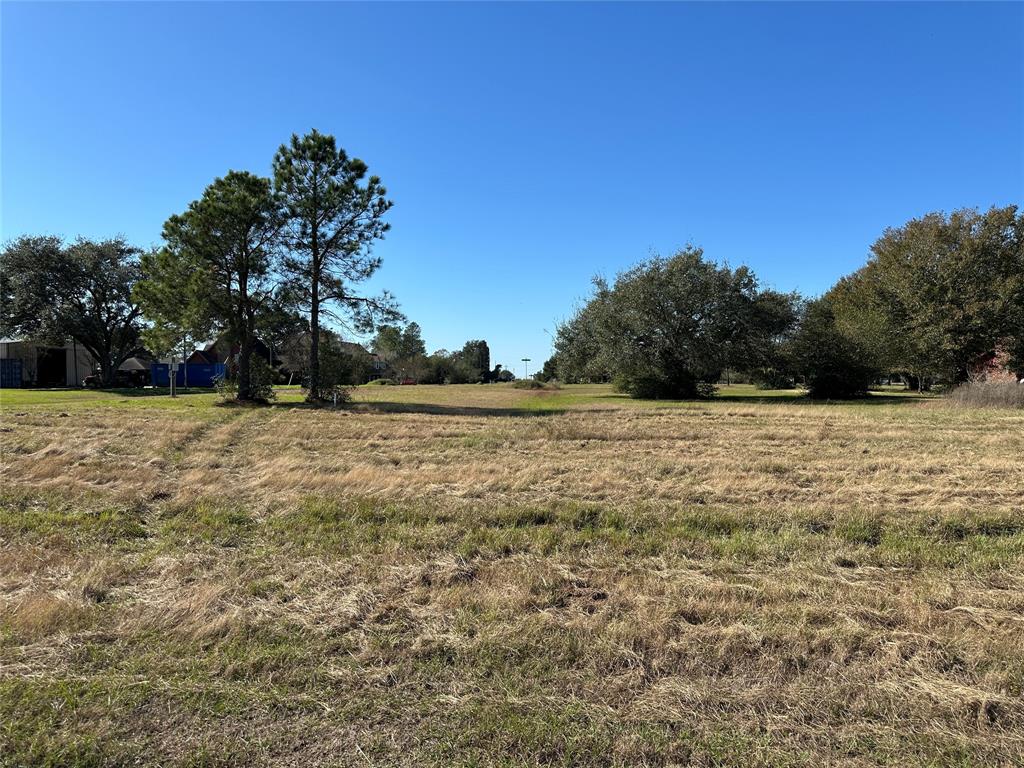 LOT 14 White Wing Drive, Waller, Texas image 10