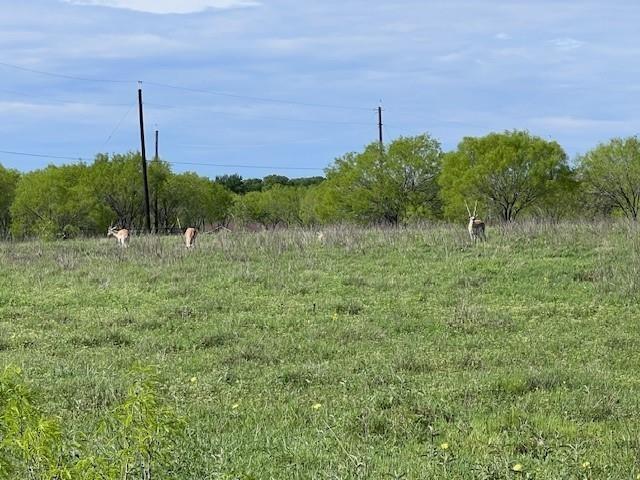 170 Sam Houston Parkway, Gonzales, Texas image 6