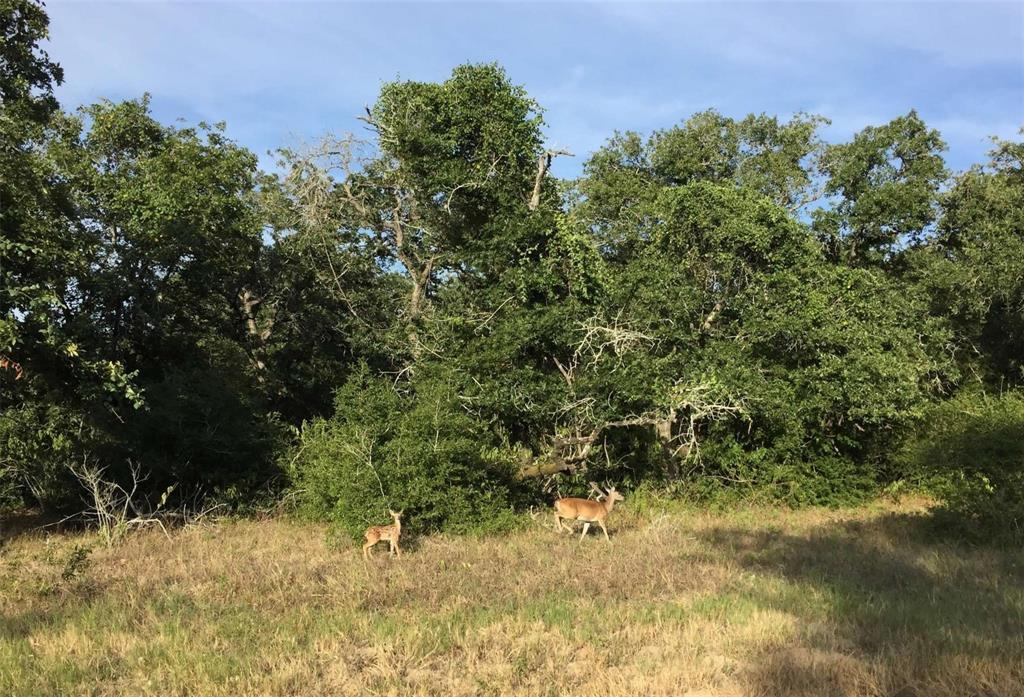 170 Sam Houston Parkway, Gonzales, Texas image 5