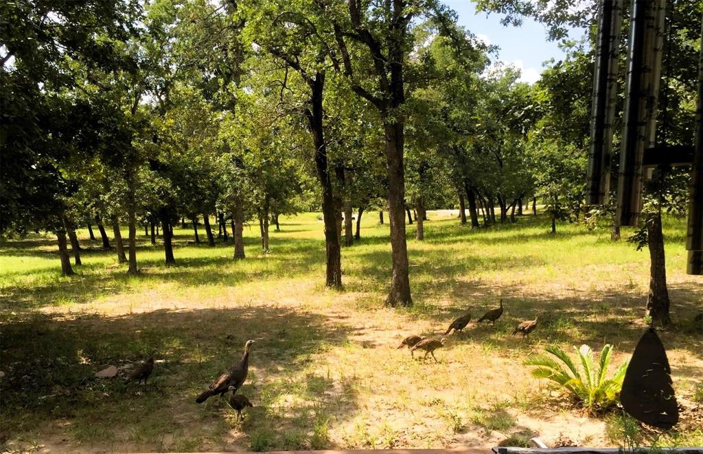 170 Sam Houston Parkway, Gonzales, Texas image 4