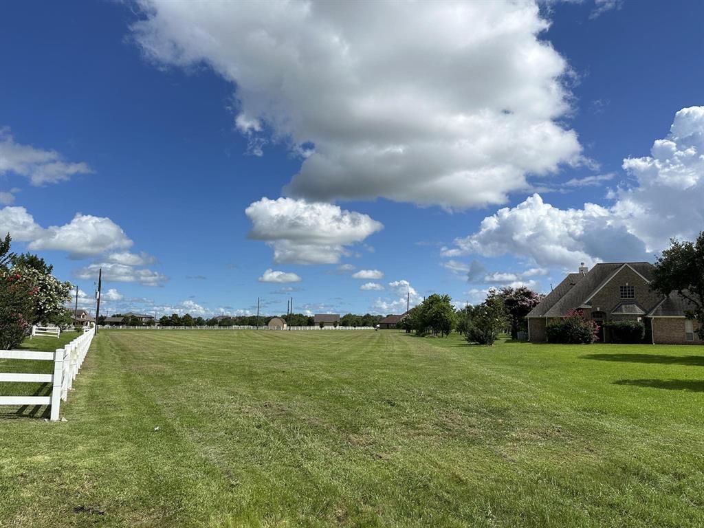 9918 S Bridlewood Court, Richmond, Texas image 7