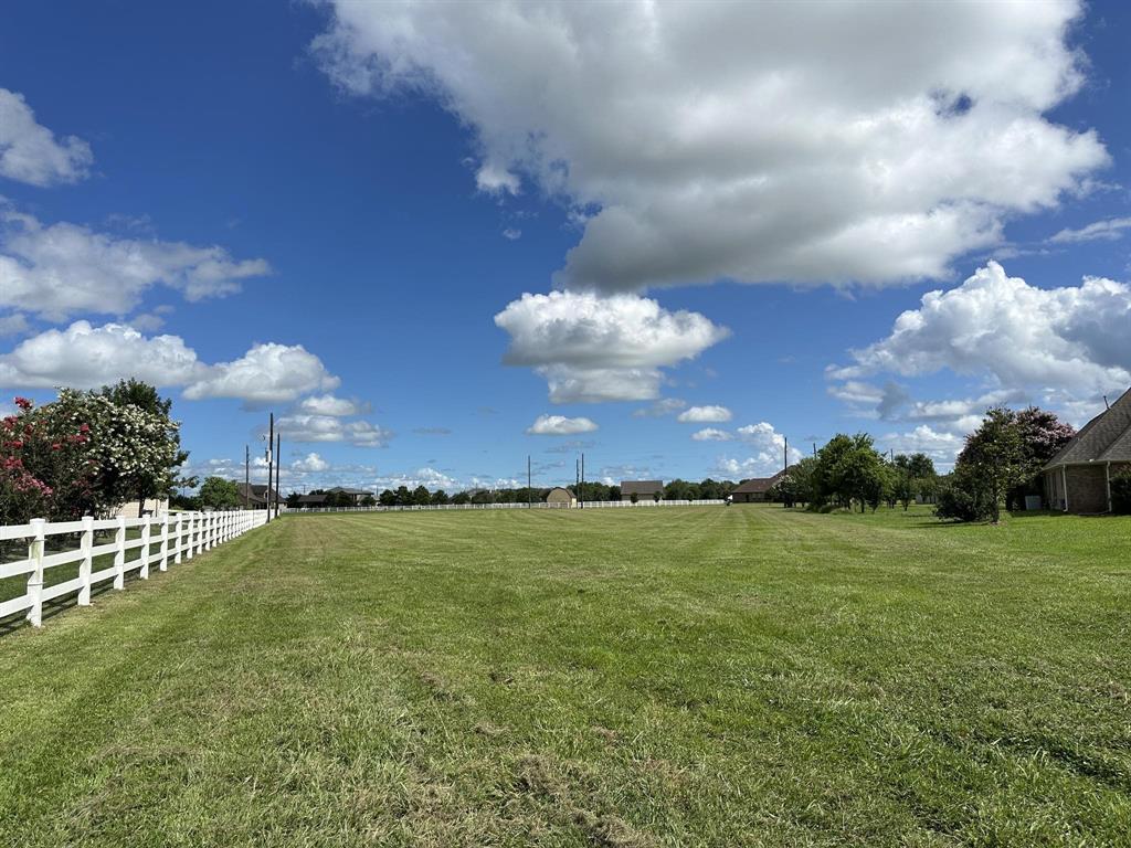 9918 S Bridlewood Court, Richmond, Texas image 3