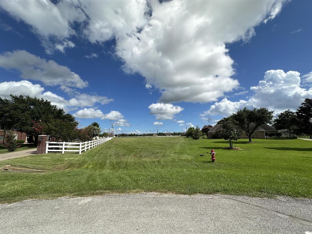 9918 S Bridlewood Court, Richmond, Texas image 2
