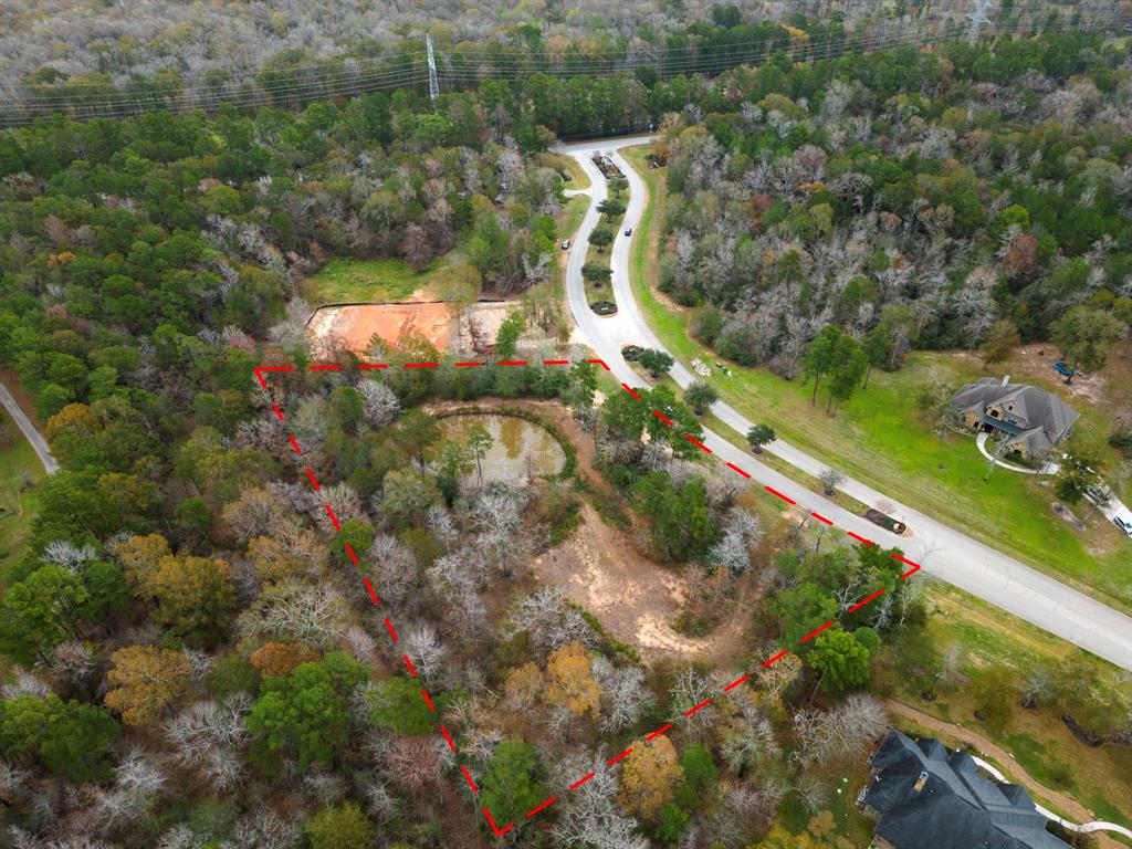 23506 High Meadow Estates Drive, Montgomery, Texas image 9