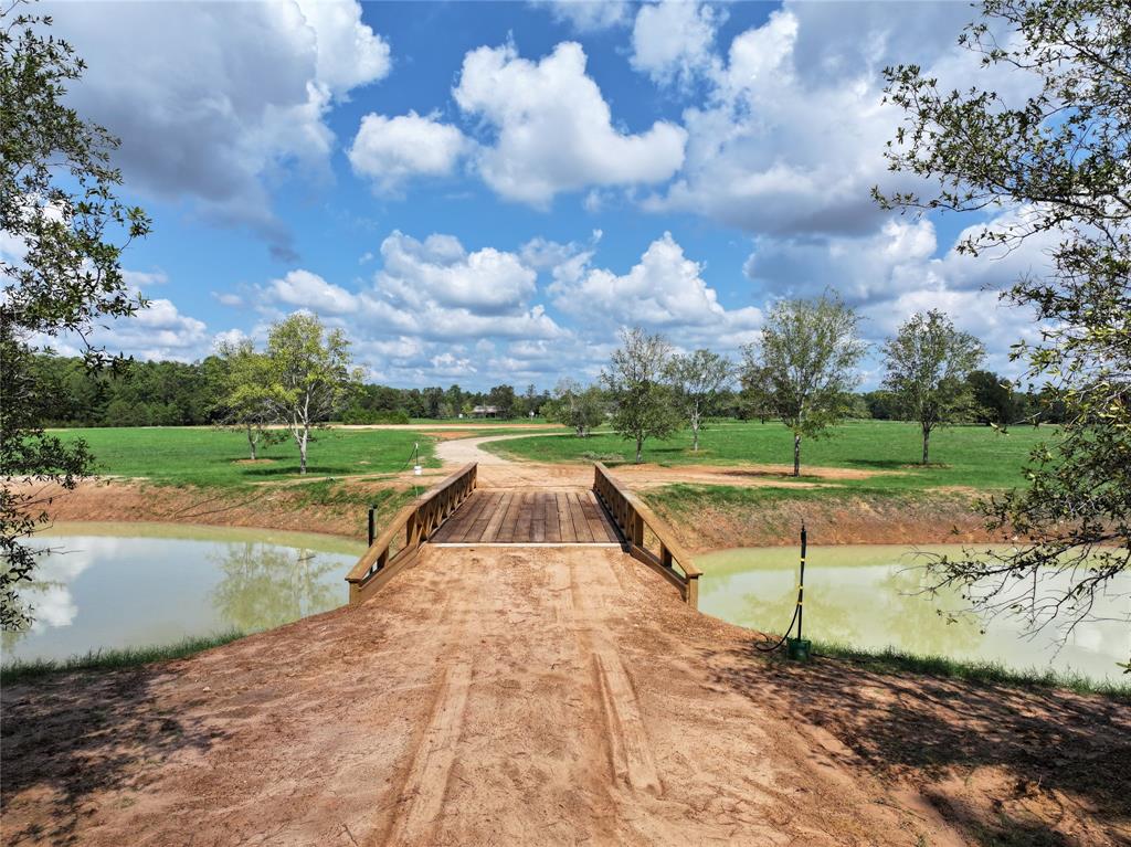 000 Shady Bend Lot 5, Magnolia, Texas image 8