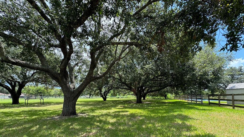 View Needville, TX 77461 house