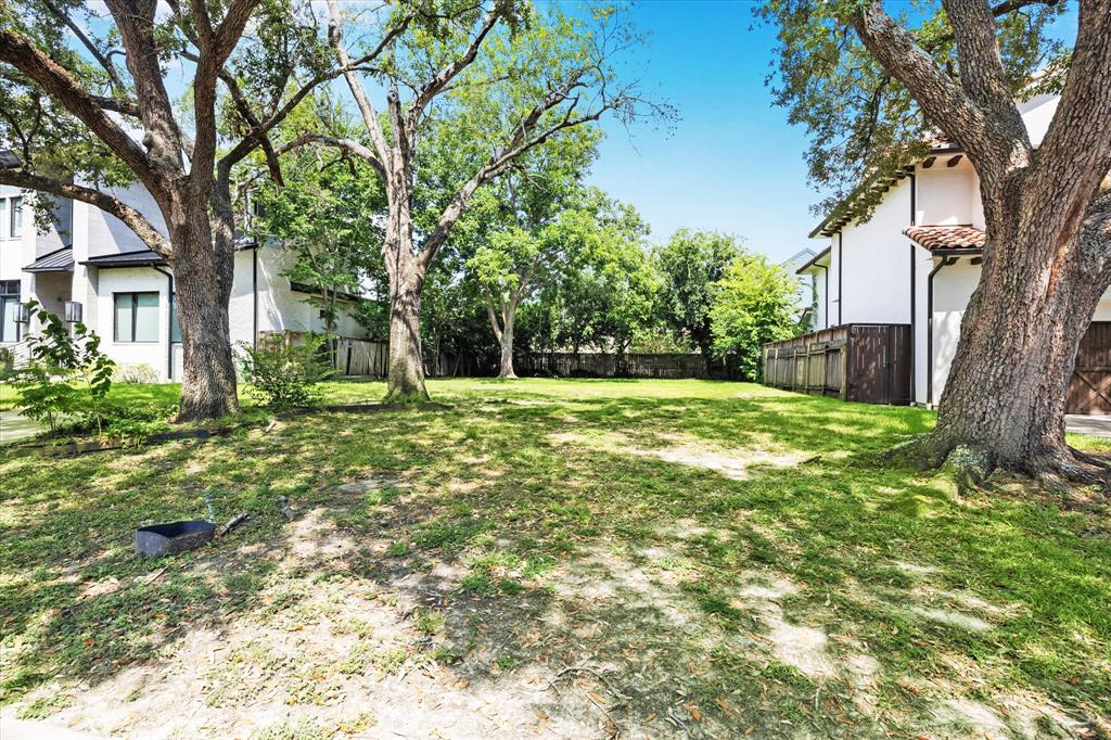 5541 Huisache