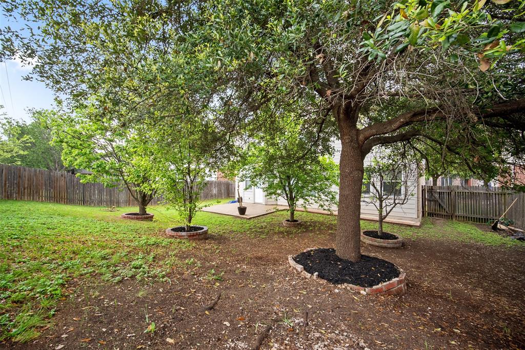 13508 Campesina Drive, Austin, Texas image 30