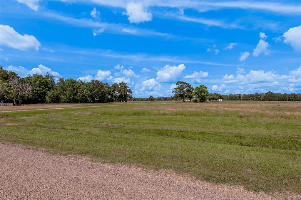 Lot 15 Jonesboro Place, Trinity, Texas image 5