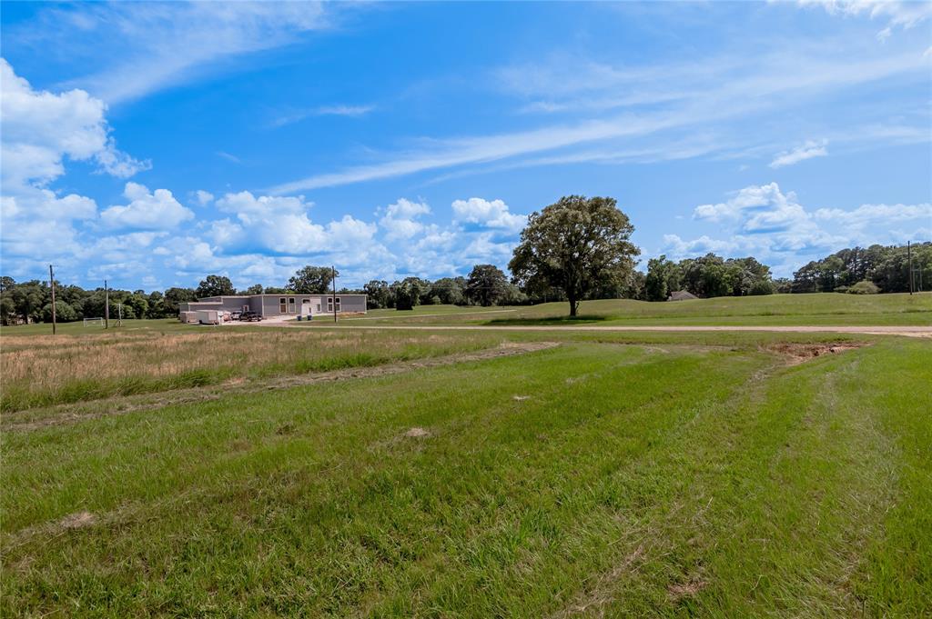 Lot 15 Jonesboro Place, Trinity, Texas image 9