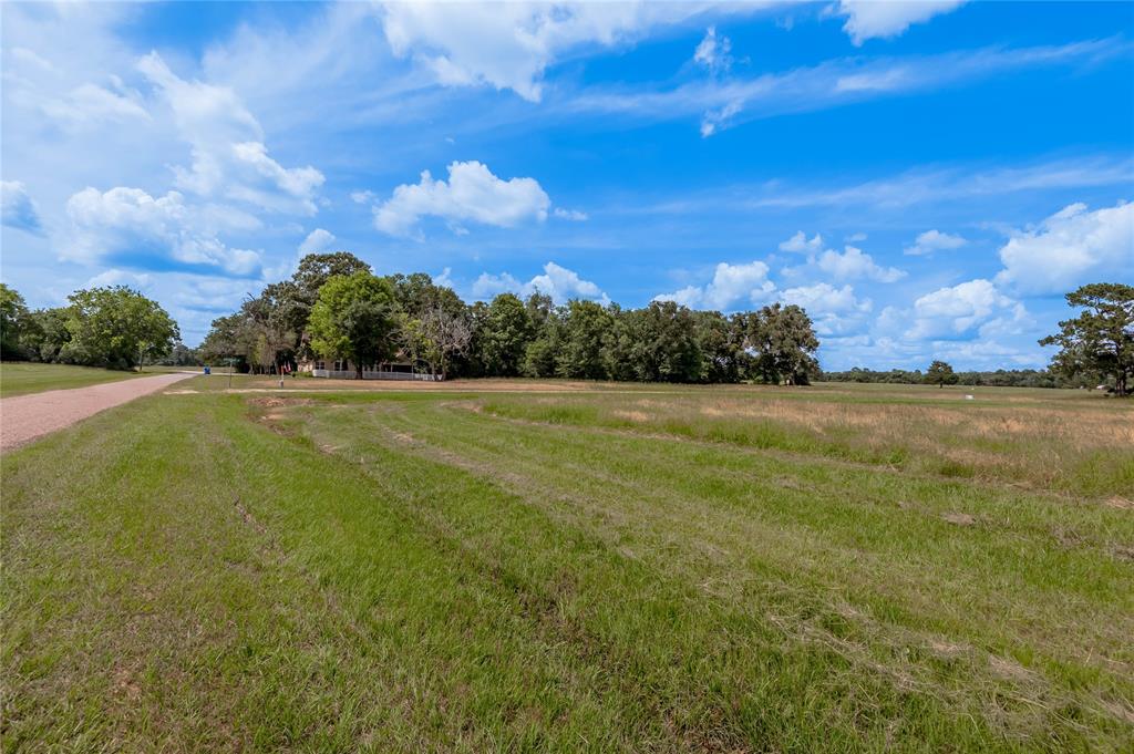 Lot 15 Jonesboro Place, Trinity, Texas image 6