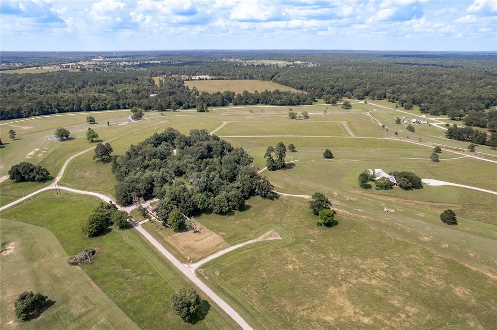 Lot 15 Jonesboro Place, Trinity, Texas image 14