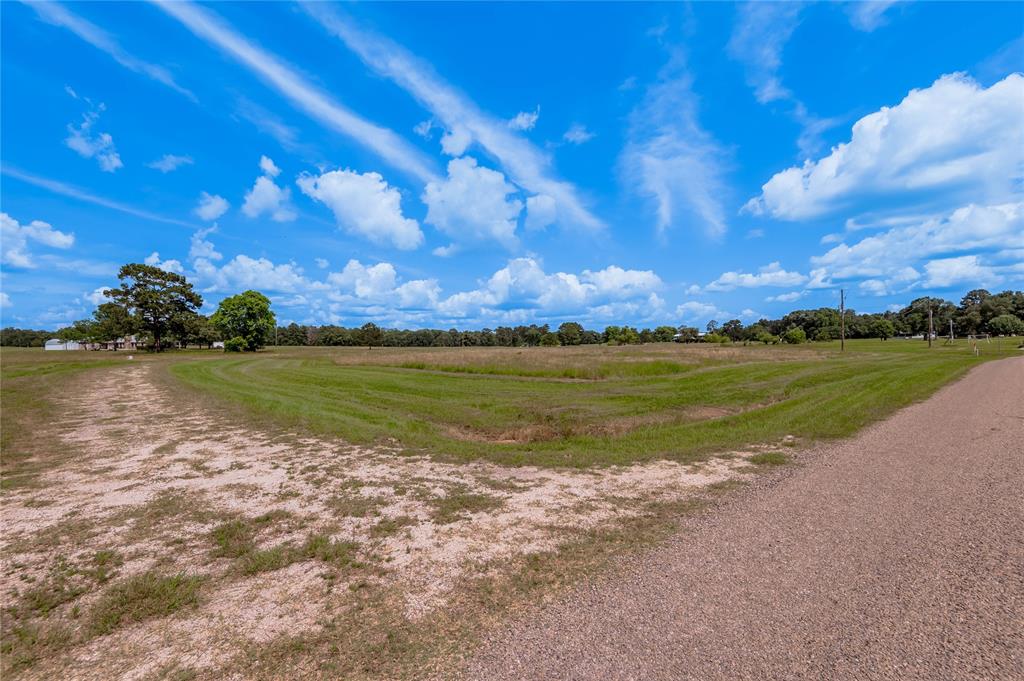 Lot 15 Jonesboro Place, Trinity, Texas image 3