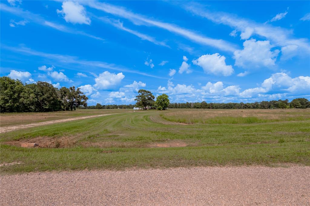 Lot 15 Jonesboro Place, Trinity, Texas image 4