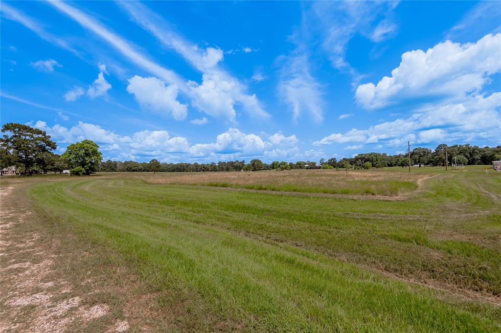 Lot 15 Jonesboro Place, Trinity, Texas image 7