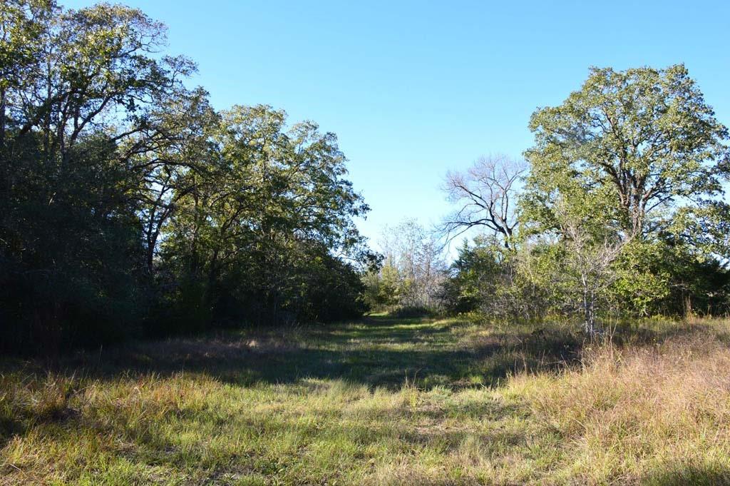 7479 County Road 401, Anderson, Texas image 31