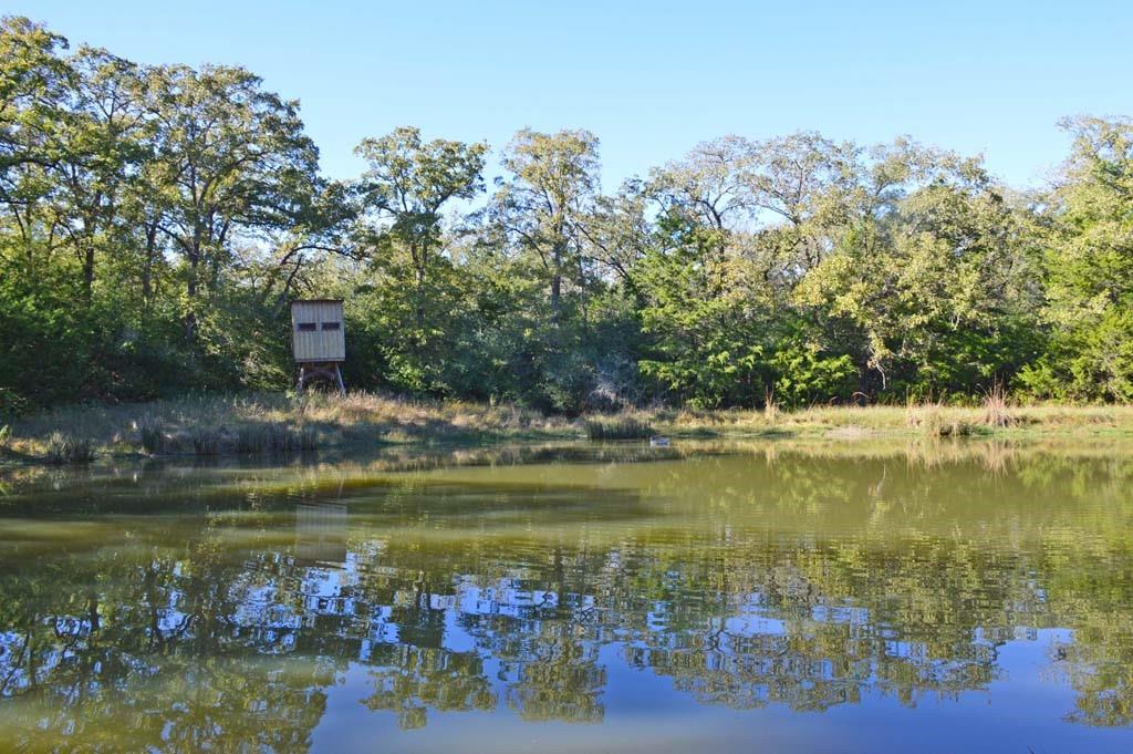 7479 County Road 401, Anderson, Texas image 37