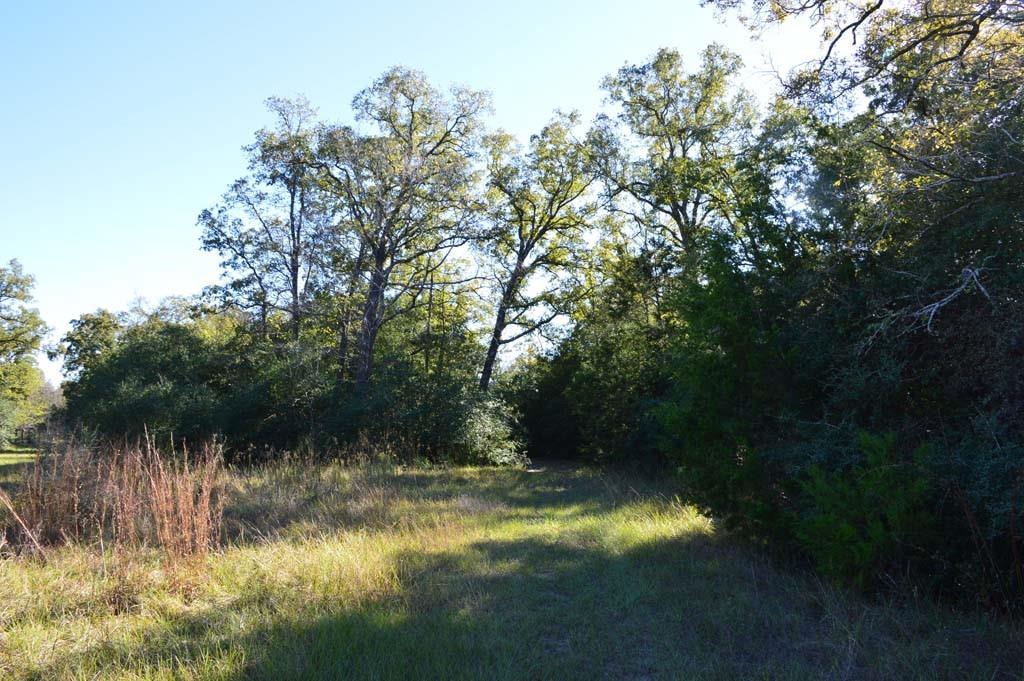 7479 County Road 401, Anderson, Texas image 33