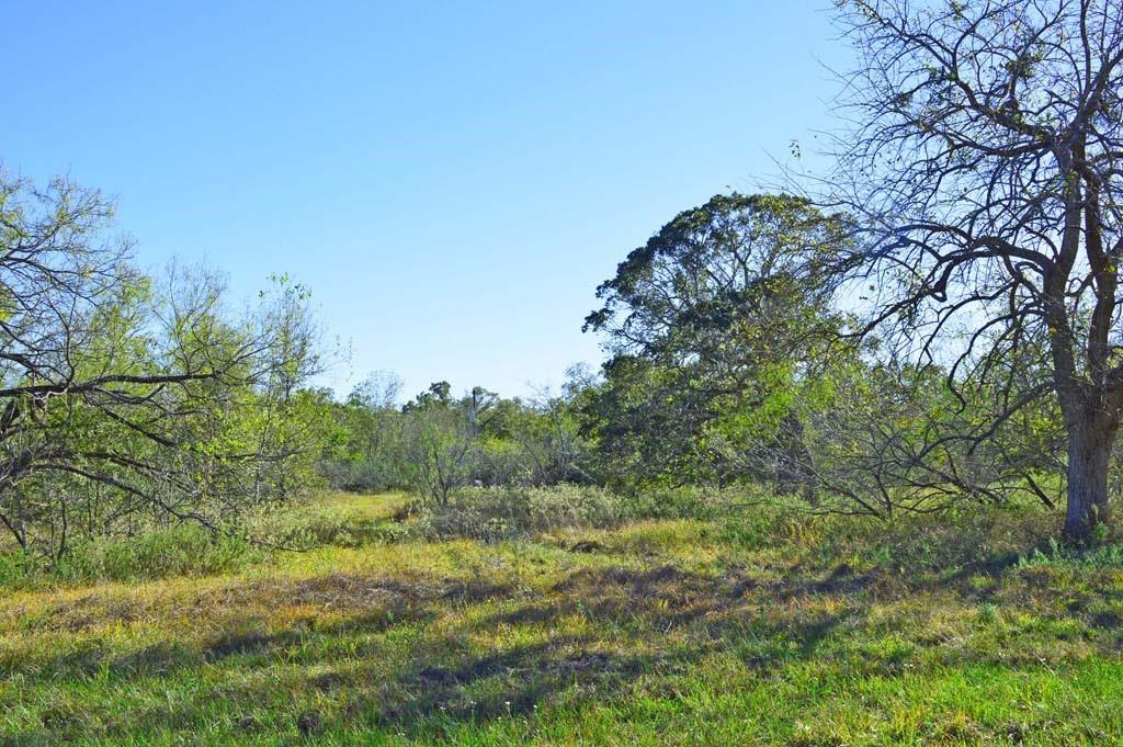 7479 County Road 401, Anderson, Texas image 39