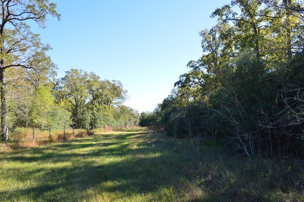 7479 County Road 401, Anderson, Texas image 32