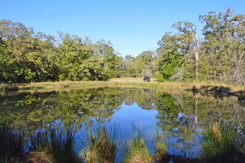 7479 County Road 401, Anderson, Texas image 38