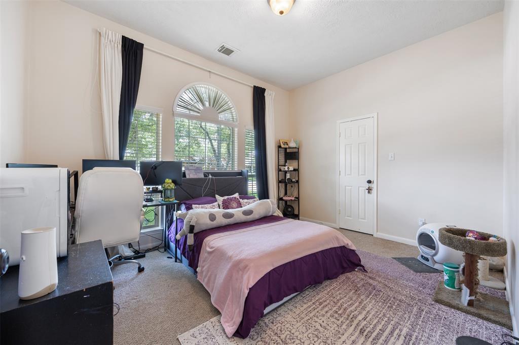 9014 Carriage Point Drive, Sugar Land, Texas image 19