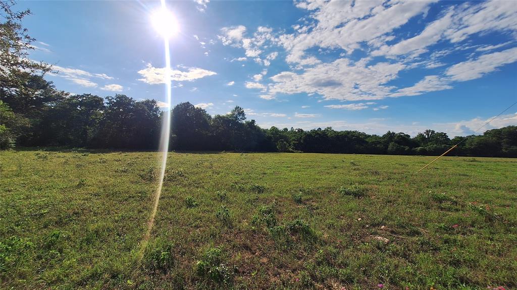 18081 Wellmann Road, Washington, Texas image 4