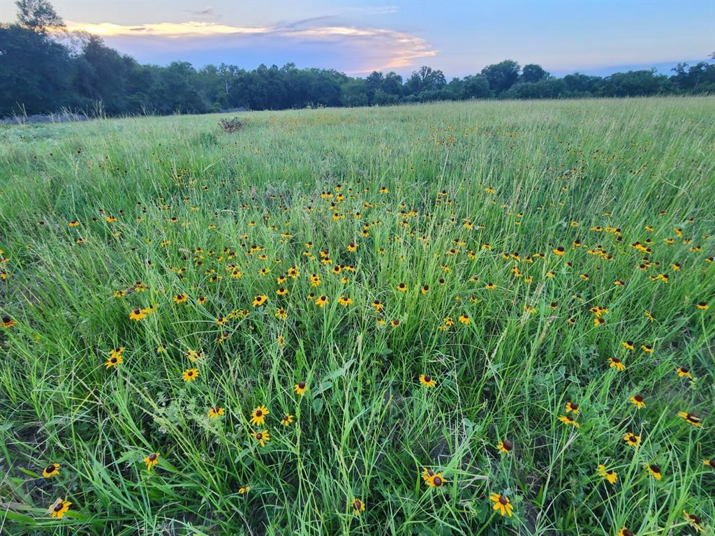 Wellmann Road, Washington, Texas image 4