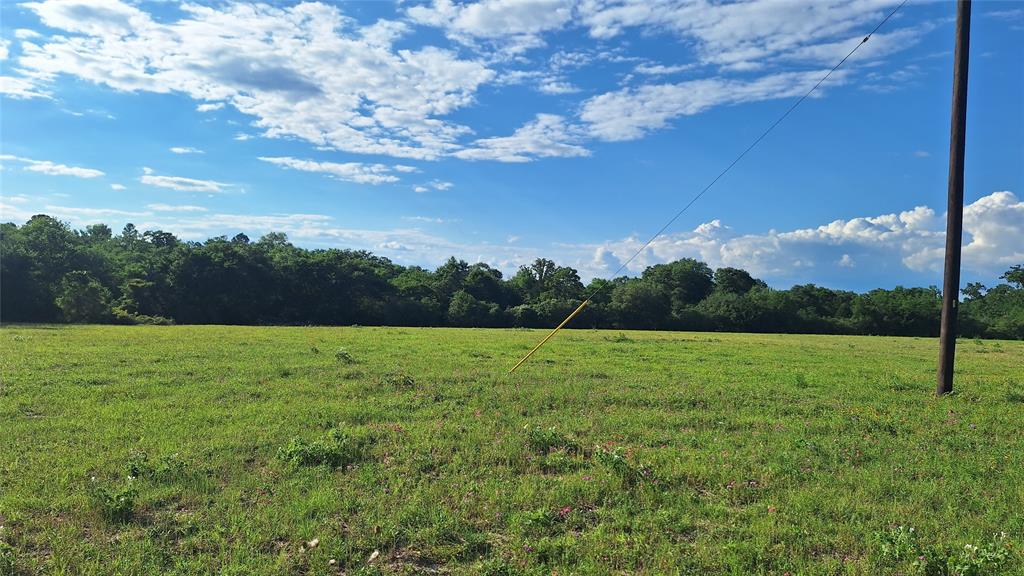 18081 Wellmann Road, Washington, Texas image 5