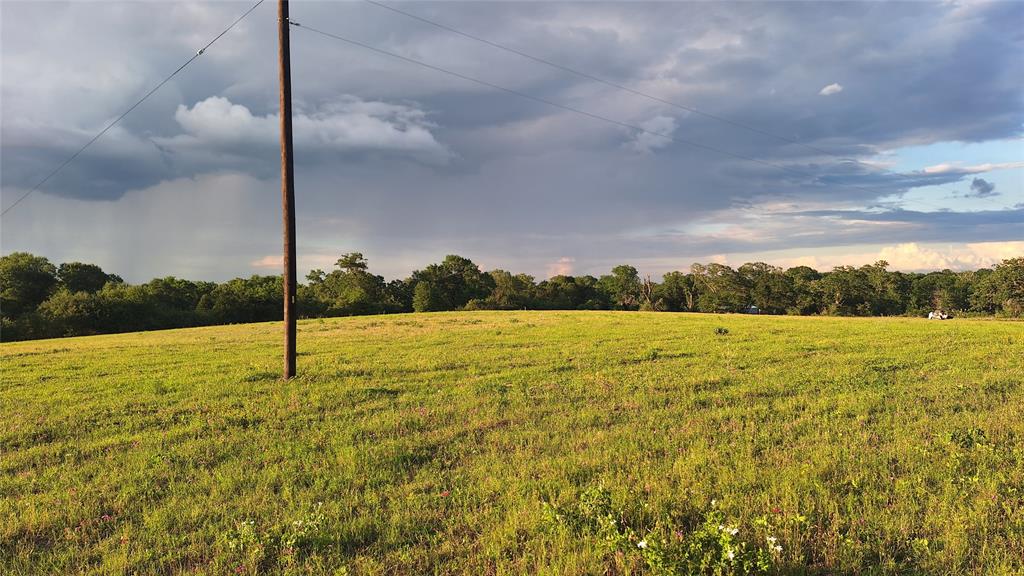 18081 Wellmann Road, Washington, Texas image 2