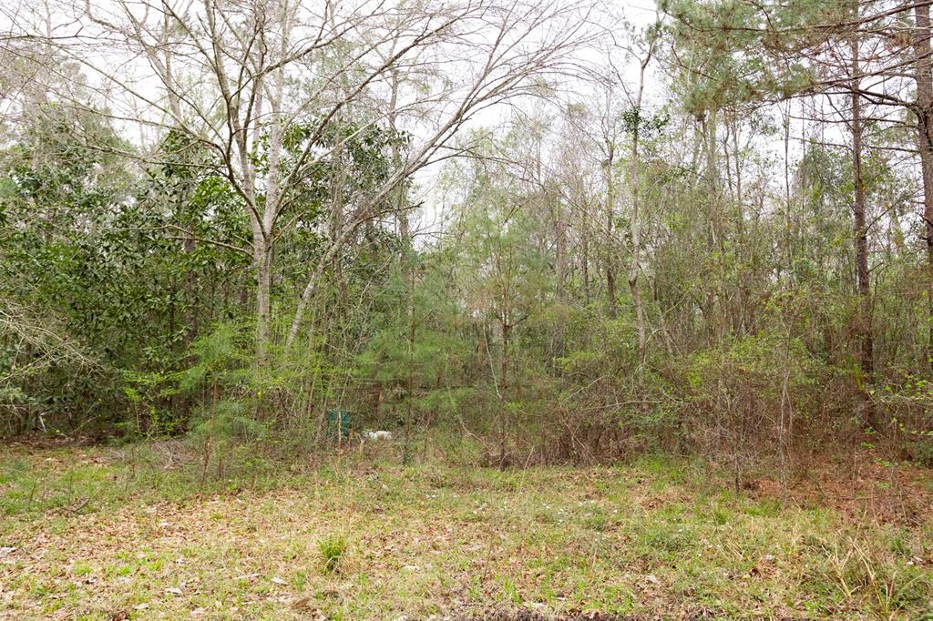 101 E Fork Drive, Cleveland, Texas image 9