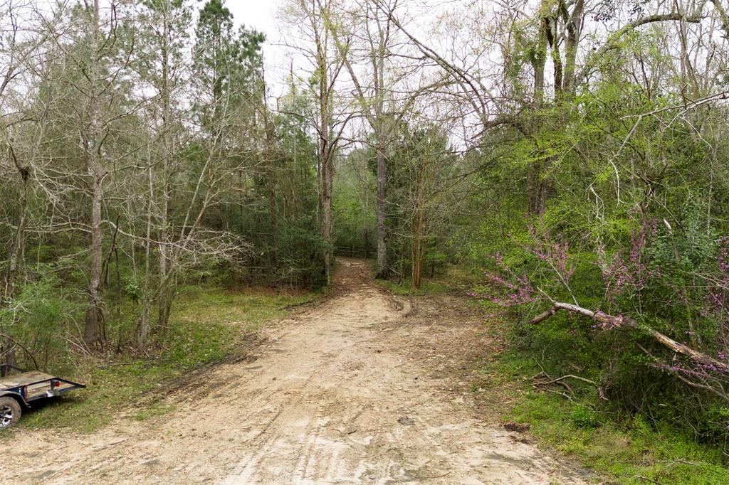101 E Fork Drive, Cleveland, Texas image 7