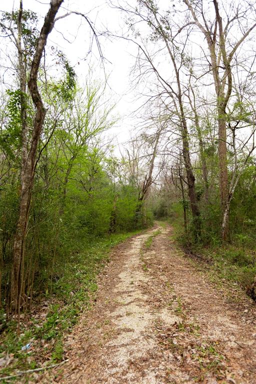 101 E Fork Drive, Cleveland, Texas image 2