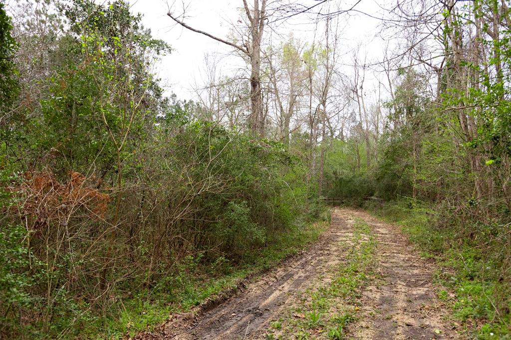101 E Fork Drive, Cleveland, Texas image 3